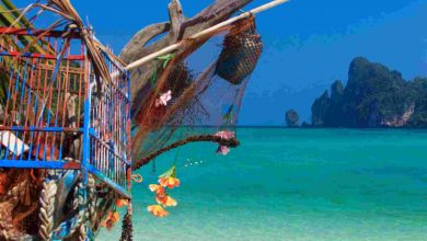 Beautiful bay of phi phi island thailand