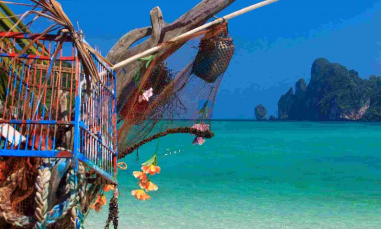 Beautiful bay of phi phi island thailand
