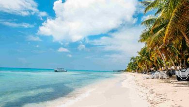 Caribbean beach saona island