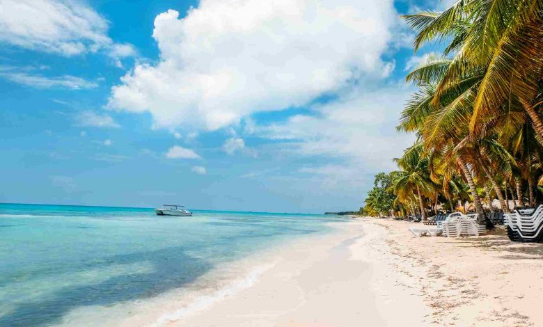 Caribbean beach saona island