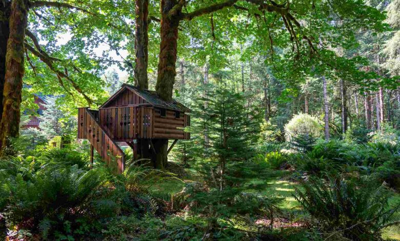 Wooden tree house nestled in a lush forest