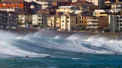 Surfers enjoying large waves near coastal city