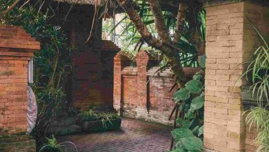 Brick pathway surrounded by lush tropical foliage