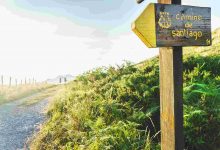 Camino de santiago trail sign amidst verdant green