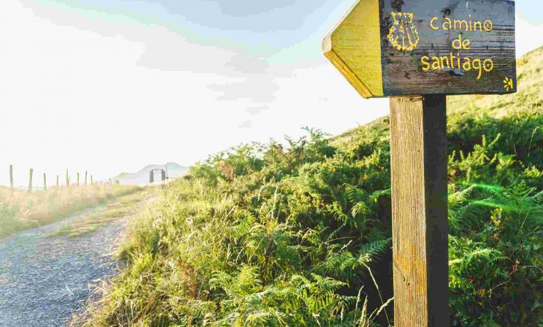 Camino de santiago trail sign amidst verdant green