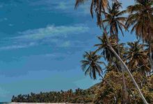 An empty heavenly beach in the caribbeans with pal