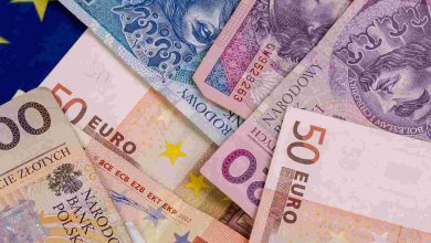 Polish zloty and euro money still life