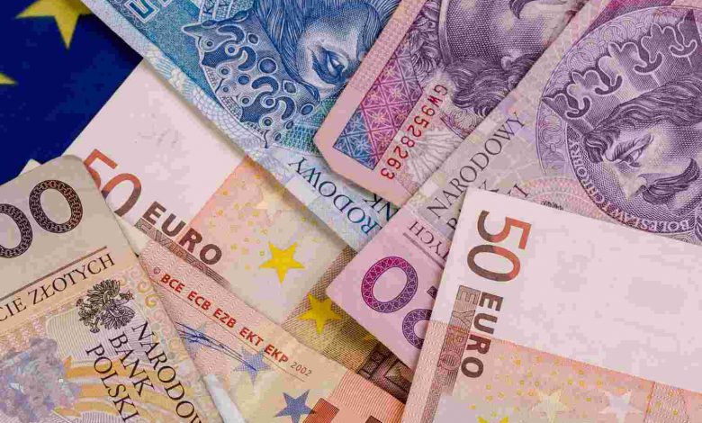 Polish zloty and euro money still life