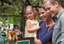 Family watching squirrel monkey in tropical outdoo