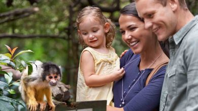 Family watching squirrel monkey in tropical outdoo