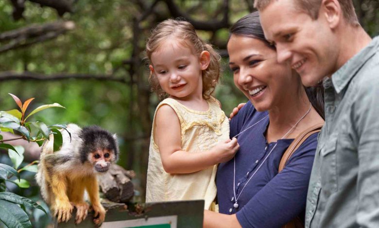 Family watching squirrel monkey in tropical outdoo