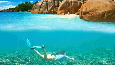 Woman with mask snorkeling in clear water at seych