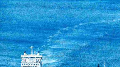 Unbelivable view on palau port