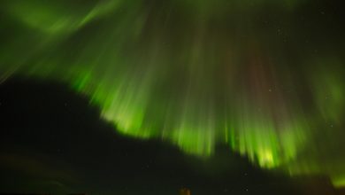East iceland northern lights