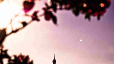 Eiffel tower in the background of the autumn leave