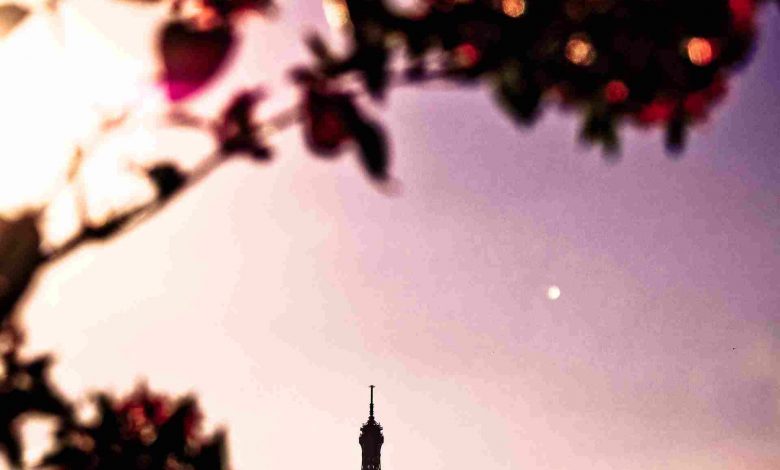 Eiffel tower in the background of the autumn leave