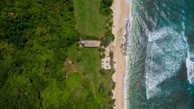 An aerial view of a beach and ocean