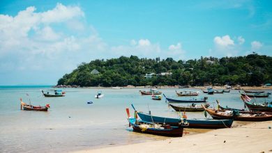 Boats on shore during daytime