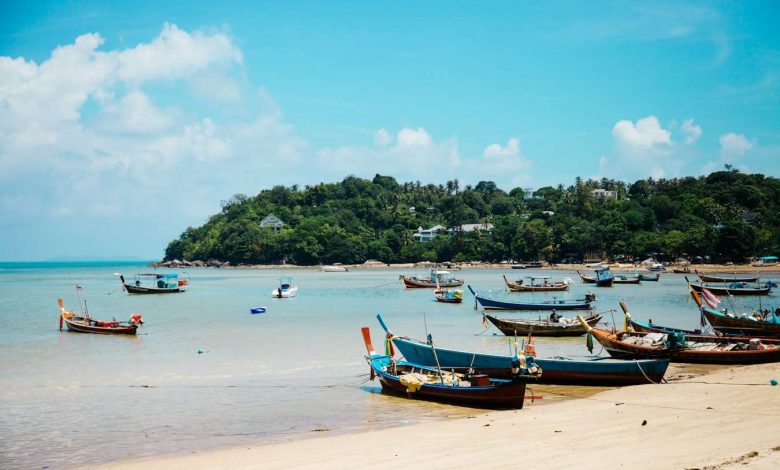 Boats on shore during daytime