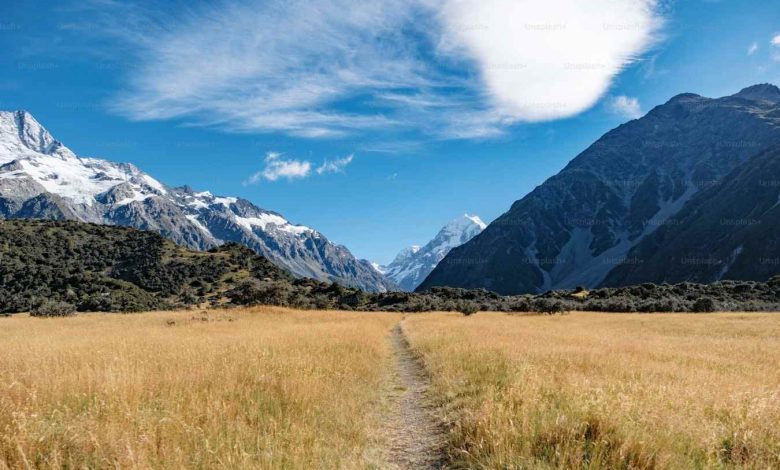 A path leads through a golden field towards majest